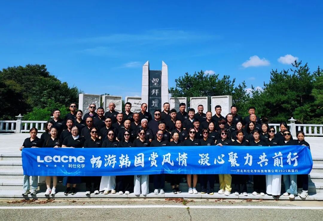 跨越山海，文化同心 | 海外團建書寫高質量發展新注腳